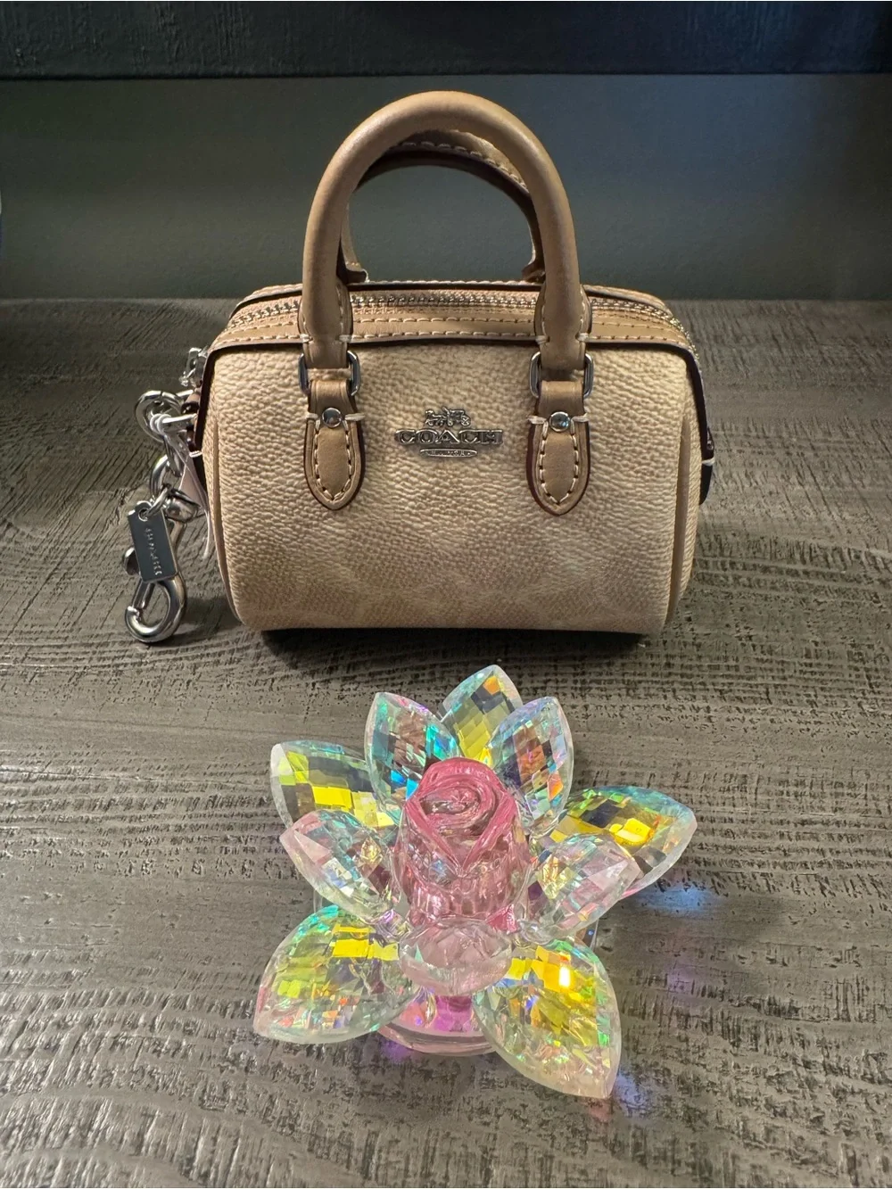 Coach top handle
